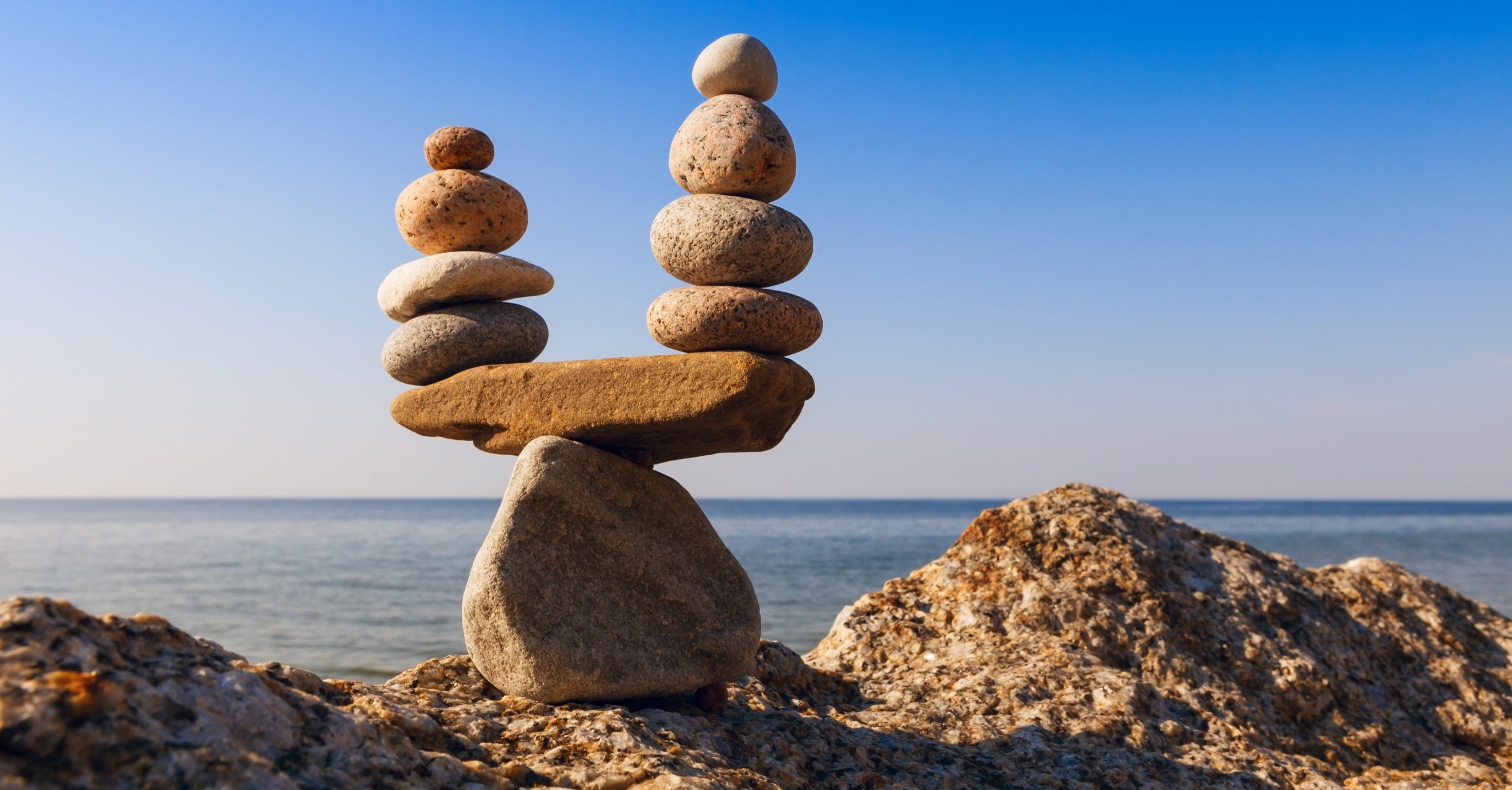 Insights, Decisions, and the Role of the Finance Team